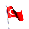 Turkey Flag